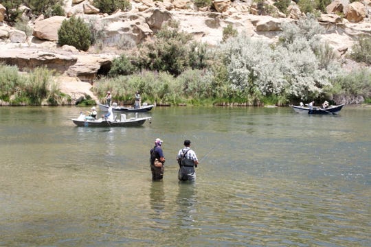 Anglers fish, Monday, June 1, 2020, at Texas Hole on the San Juan River in Navajo Lake State Park.