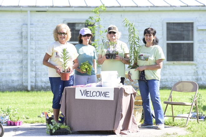 On June 5 members of the Earth, Wind and Flowers Garden Club finally held a plant sale. Plants, which had been dug earlier for the canceled May sale, were delivered to the open area outside the flower show building on the Crawford County Fairgrounds. Working the 3 to 5 shift were: (L-R) Marylyn Strang, Janet Nance, Judy Widman, and Mary Lee Minor.