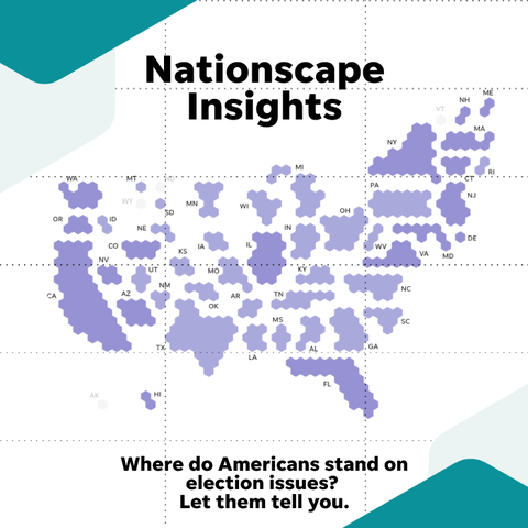 Nationscape Insights