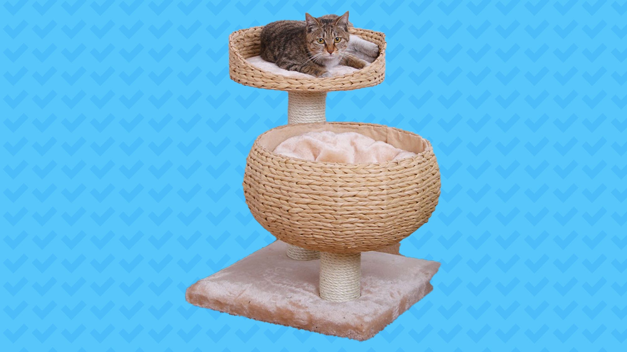 cat play towers for sale