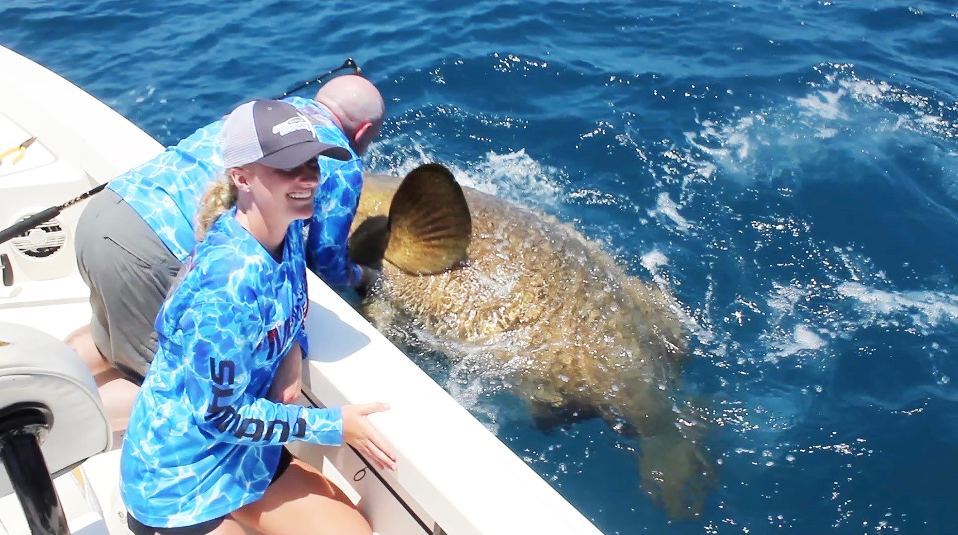 Goliath grouper