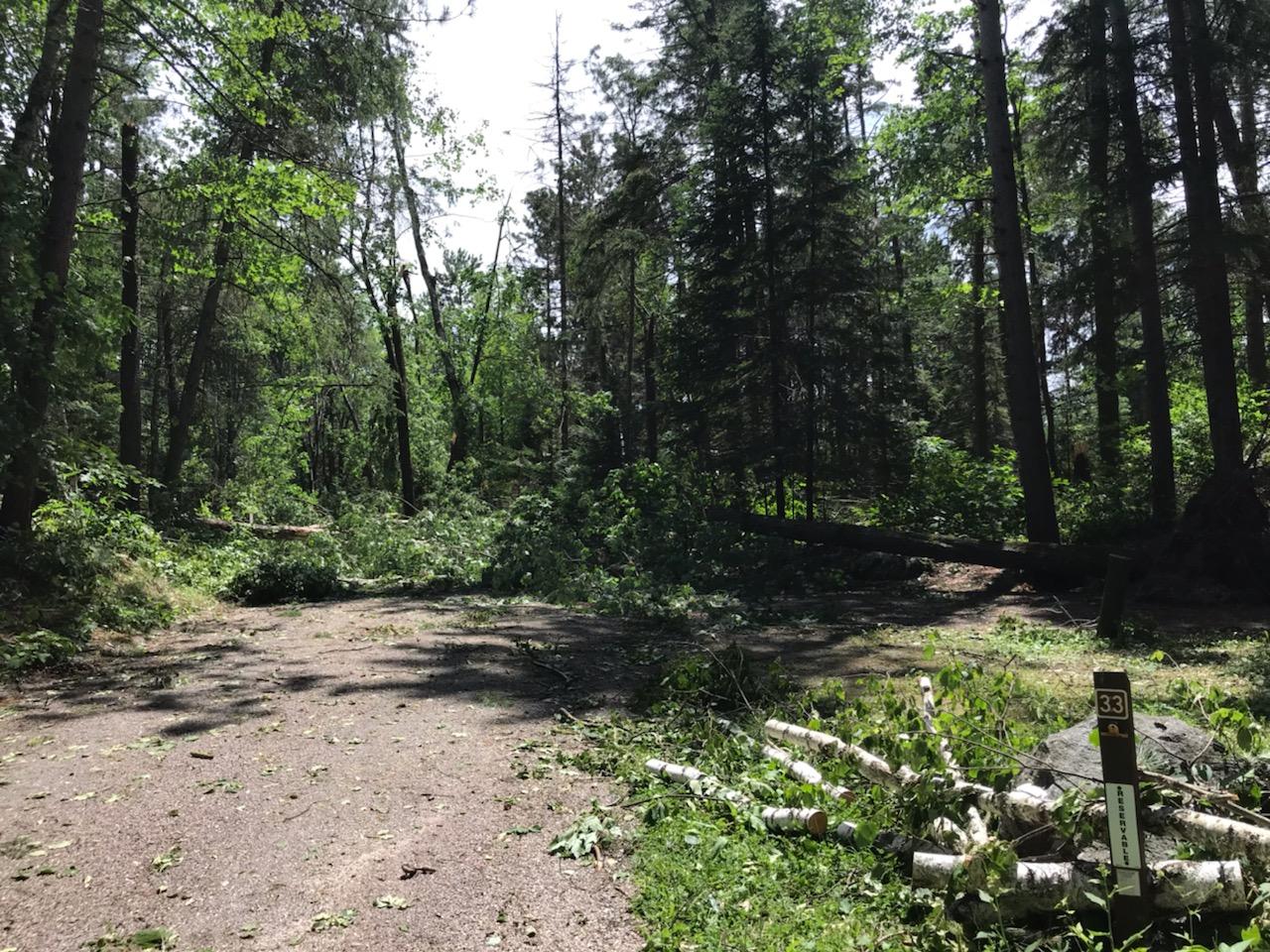ChequamegonNicolet National Forest Many roads, trails reopen
