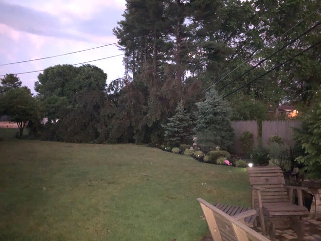 A tree was on a power line behind a home on Pfeifer Drive on Wednesday. Numerous trees were reported down throughout Zanesville and surrounding areas after strong storms hit on Wednesday evening.