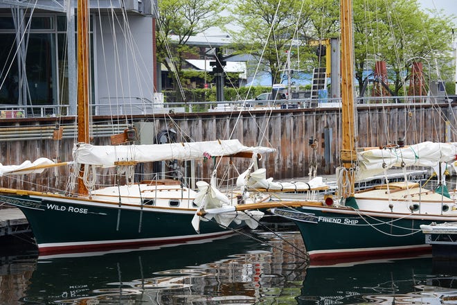 Sloops of the charter service Whistling Man Schooner Co. docked on the Burlington waterfront on Wednesday, June 3, 2020.