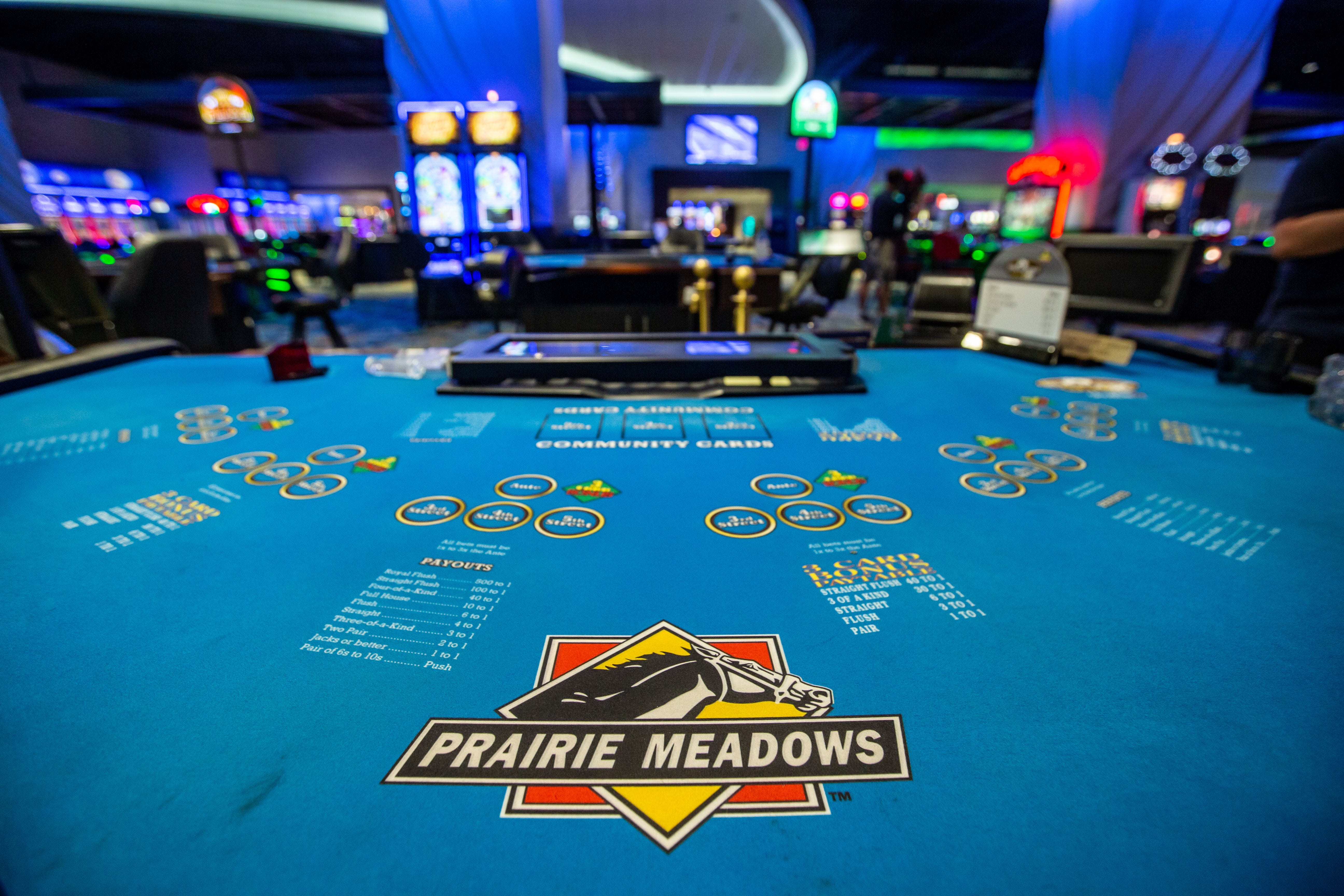 Dine Delectably Near Meadows Casino: A Culinary Guide