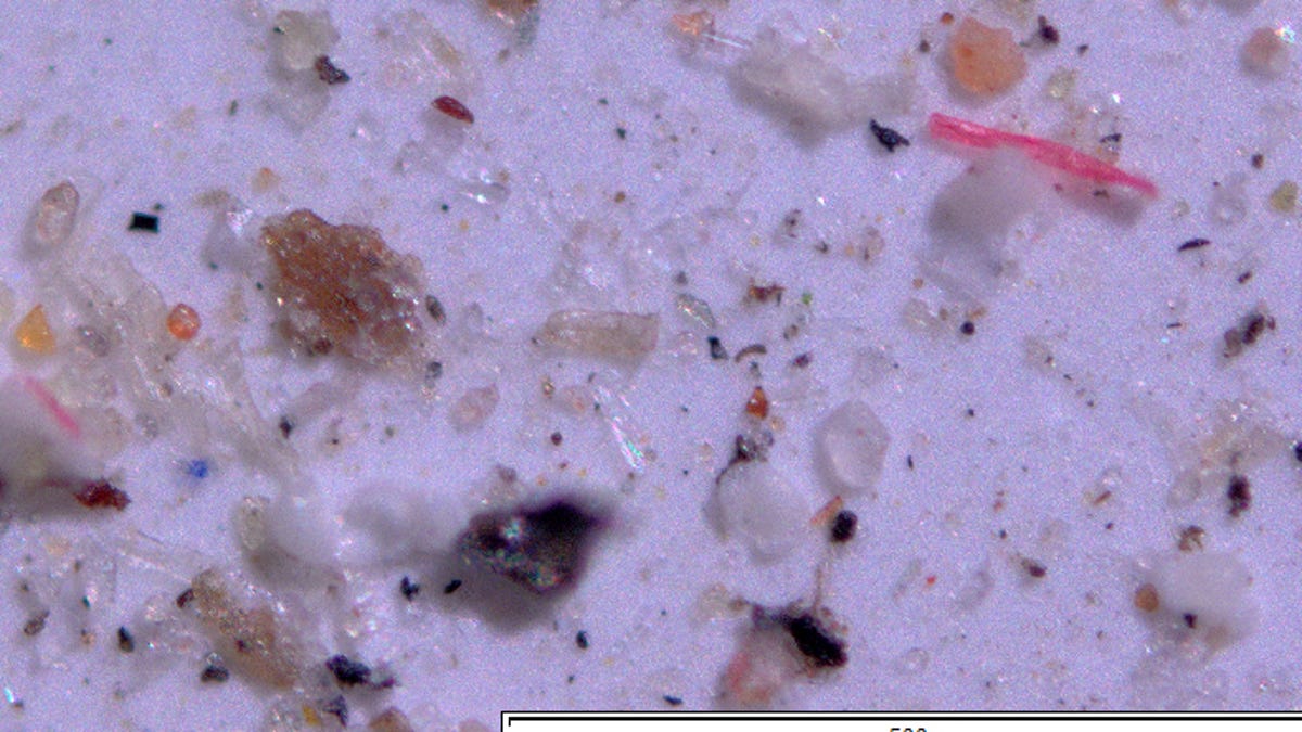 Powerful magnification allowed researchers to count and identify microplastic beads and fragments that were collected in 11 western national parks and wilderness areas over 14 months of sampling.