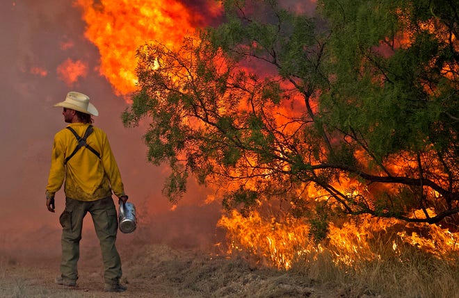 A firefighter works on the McDaniel Fire burning northwest of San Angelo on Saturday, June 13, 2020.