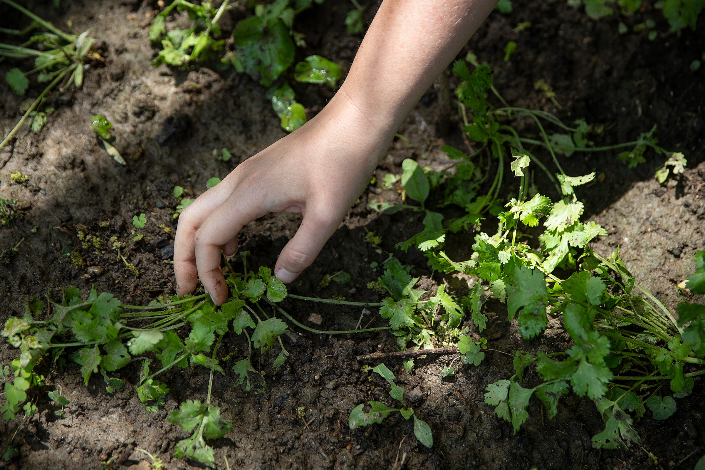 How to keep your plants alive during the winter