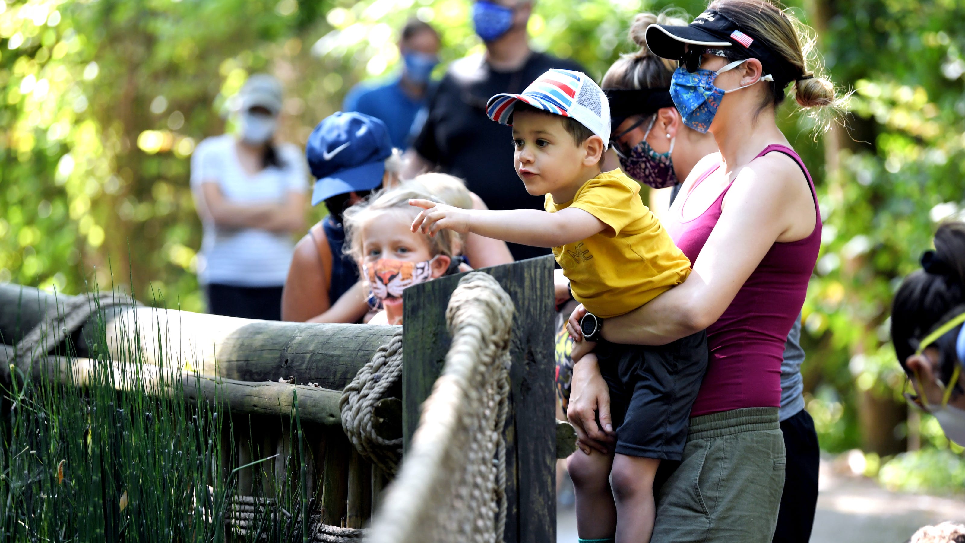 Things to do in Nashville: Zoo discounts plus dining, shopping deals