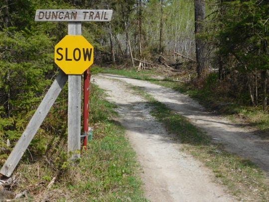 The two-track drive at Duncan's camp winds 250 yards through dense woods to his cabin.