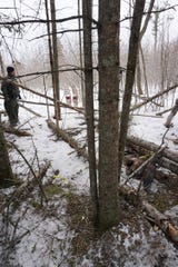 A Michigan Department of Natural Resources conservation officer checks snares that investigators say Kurt Johnston Duncan used to illegally capture wolves, coyotes and other predators.