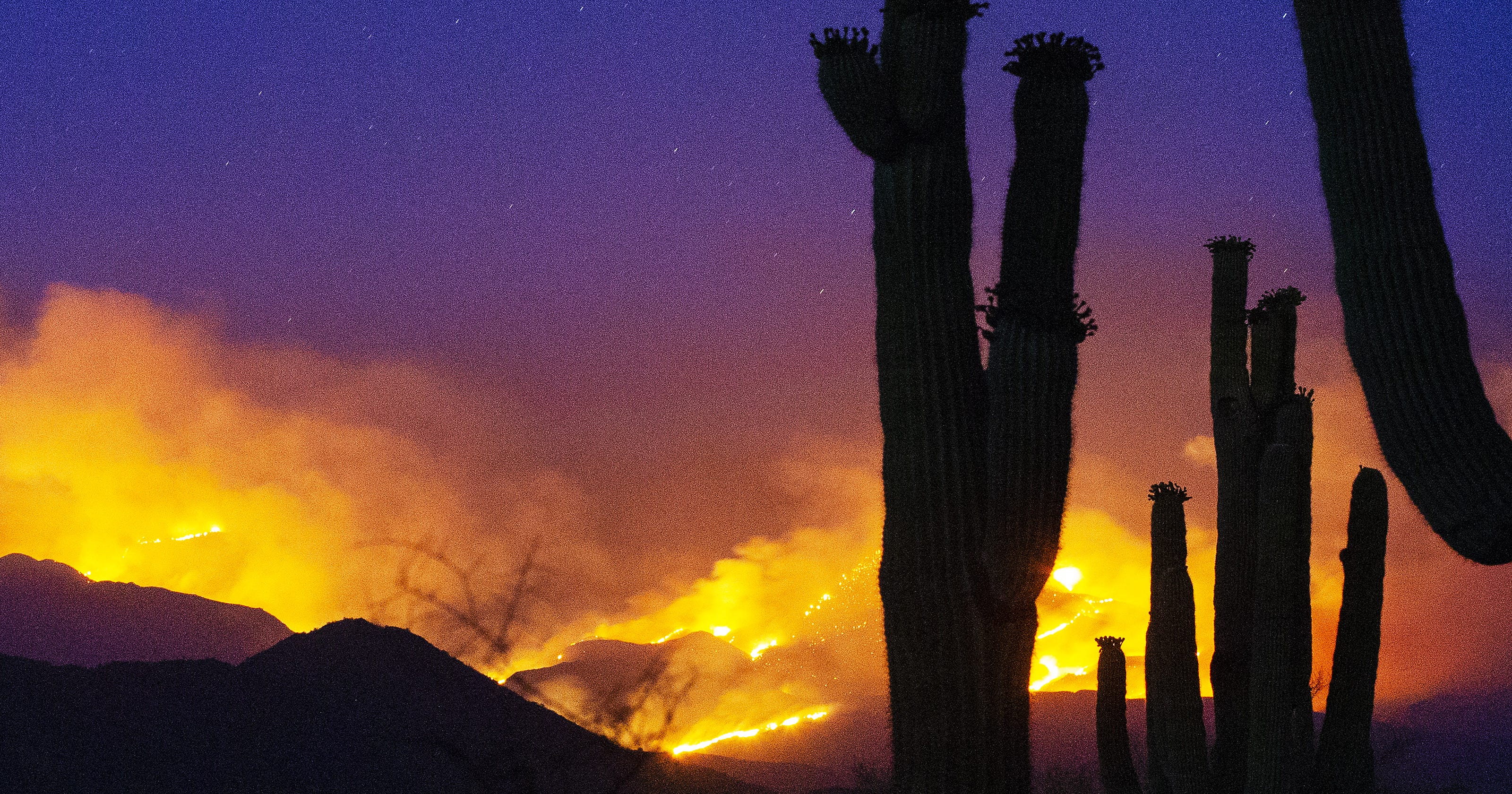 Bush Fire, 3 others rage in tripledigit temperatures in Arizona