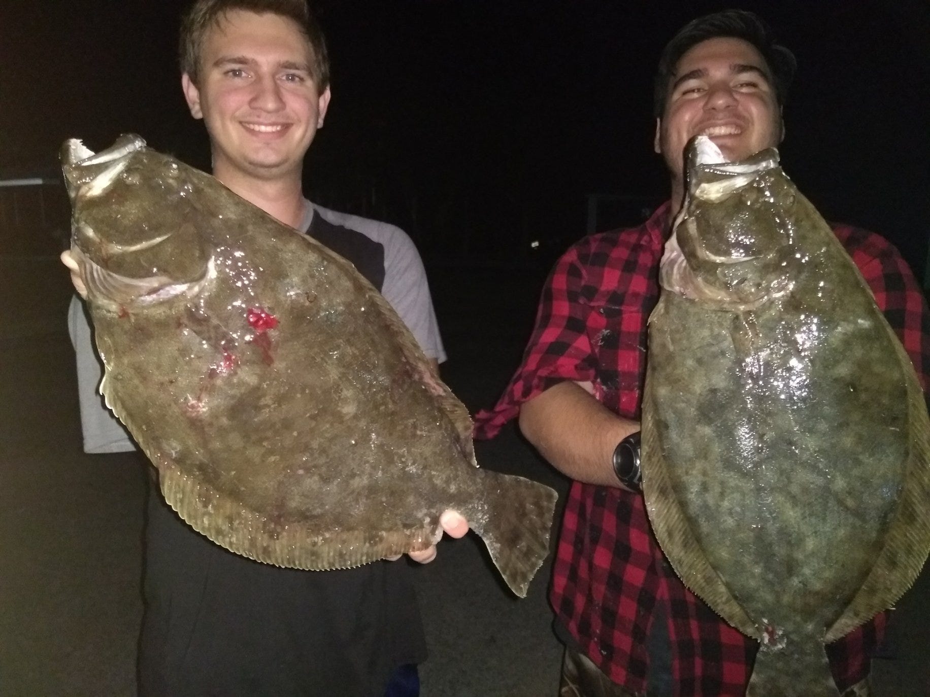 flounder fish flounder fish