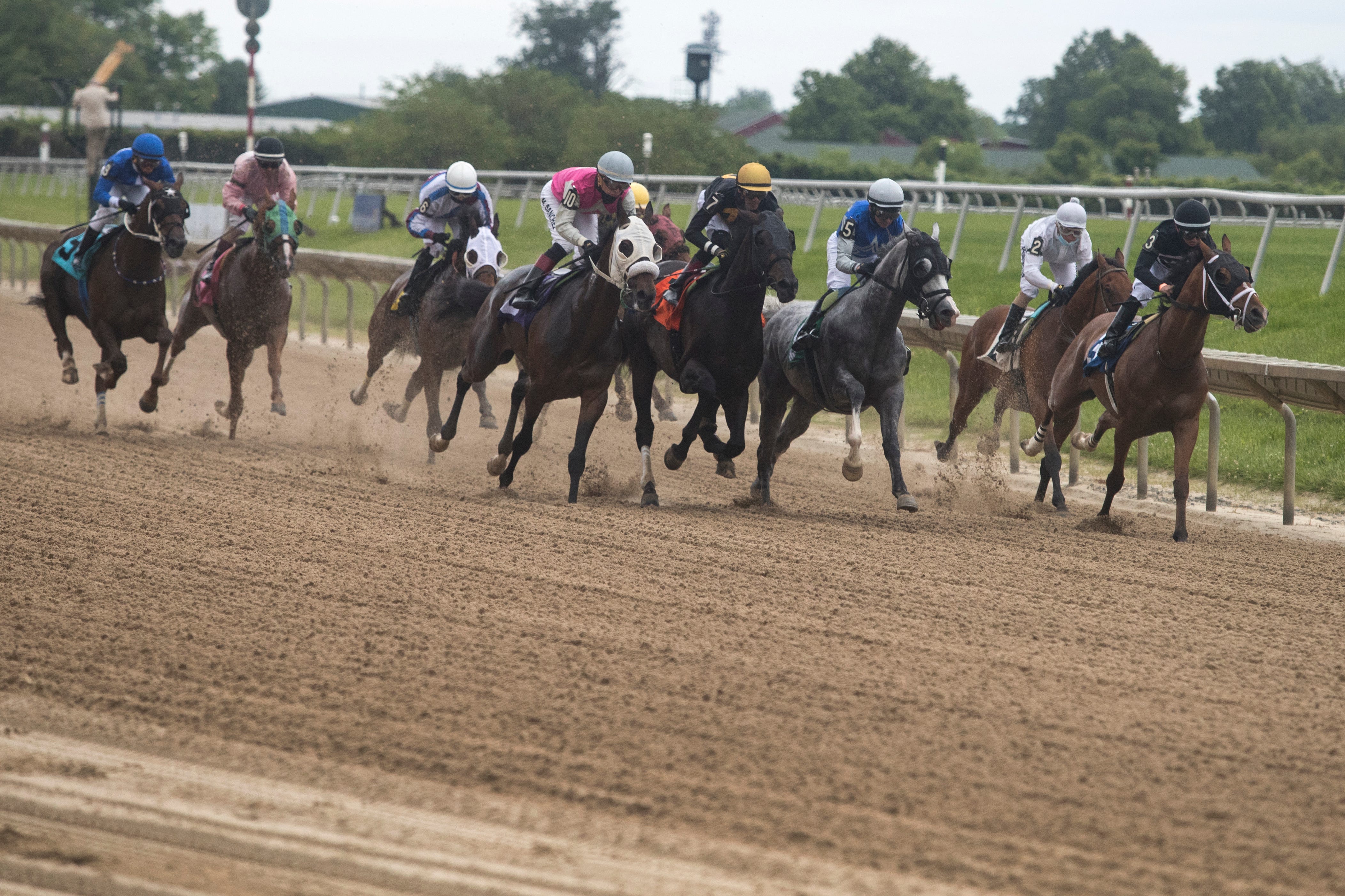 Delaware Park Horse Racing Calendar - Dasie Thomasine