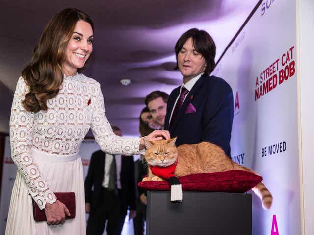 Bob The Cat Who Inspired James Bowen S A Street Cat Named Bob Dies