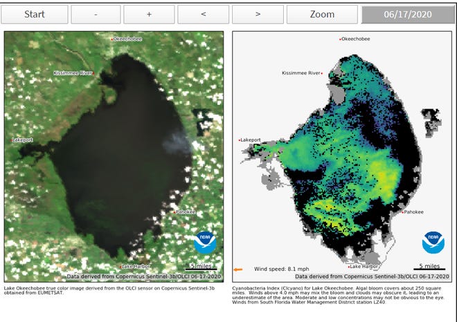 Satellite imagery shows a blue-green algae bloom covering most of Lake Okeechobee.