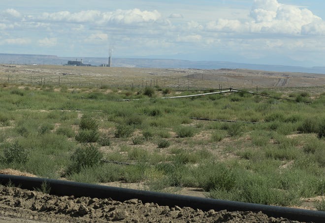 A recently seeded area at Navajo Mine is pictured Aug. 1, 2019. The Four Corners Power Plant is in the background.
