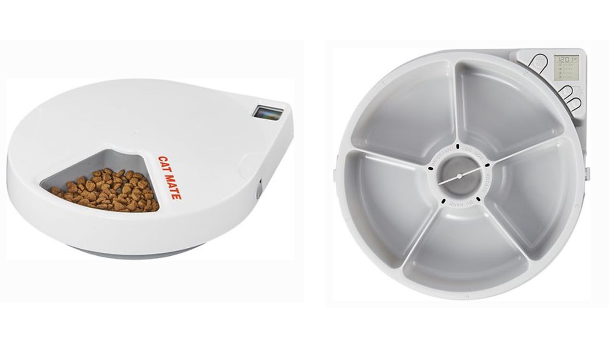 automatic cat feeder chewy