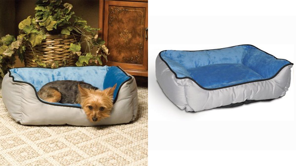 chewy pet beds