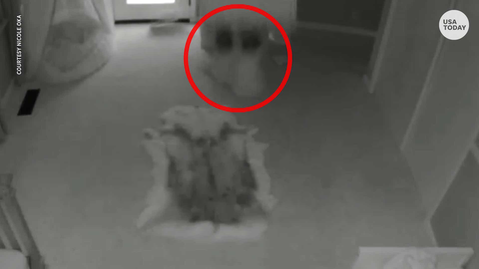 Video Shows Anchored Ikea Bookcase Crashing Onto Twins