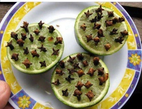 Fact Check Will Clove Spiked Limes Deter Mosquitoes Fact Check Will Clove Spiked Limes Deter Mosquitoes