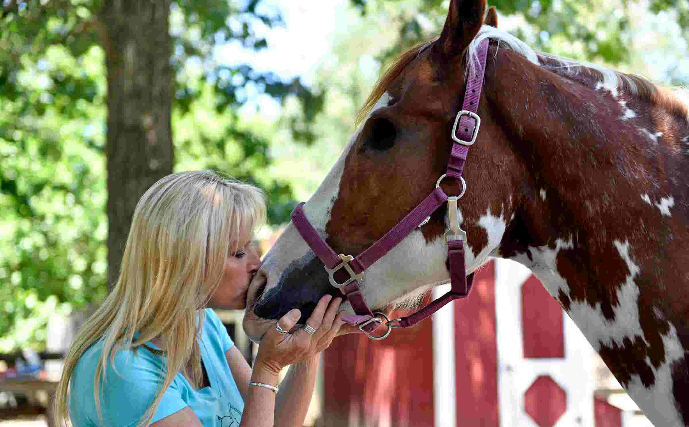 Watch: Funny Farm Animal Rescue in Mays Landing re-opens to the public