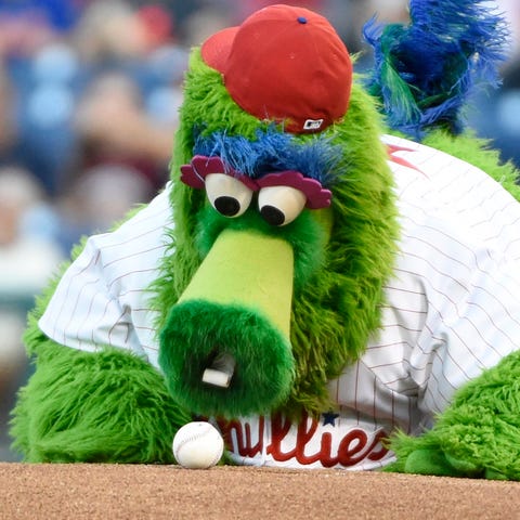 Phillie Phanatic checks out the baseball before st
