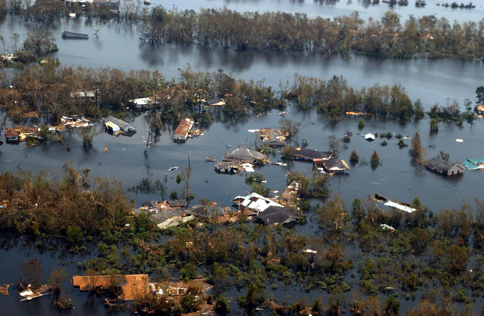 Hurricane Katrina left much of the Venice, La., area underwater on Aug. 30, 2005.