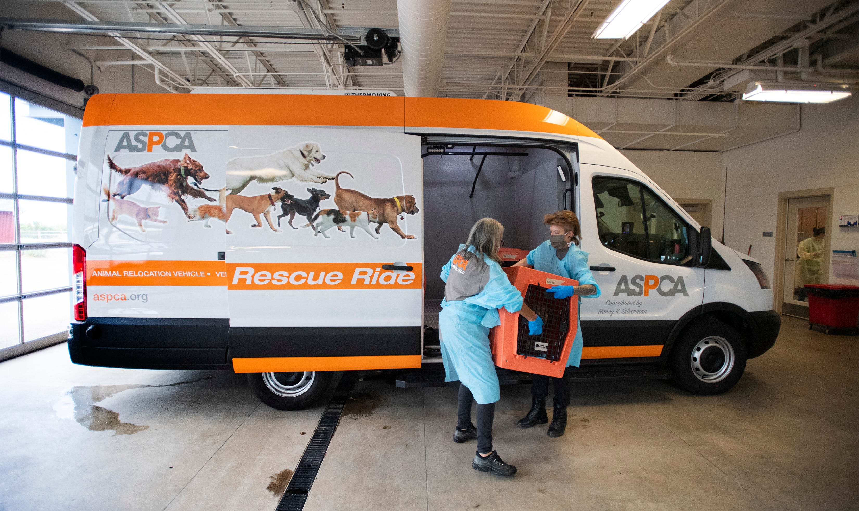 Covid 19 As Demand For Rescue Pets Rises Shelters Work With Aspca Covid 19 As Demand For Rescue Pets Rises Shelters Work With Aspca