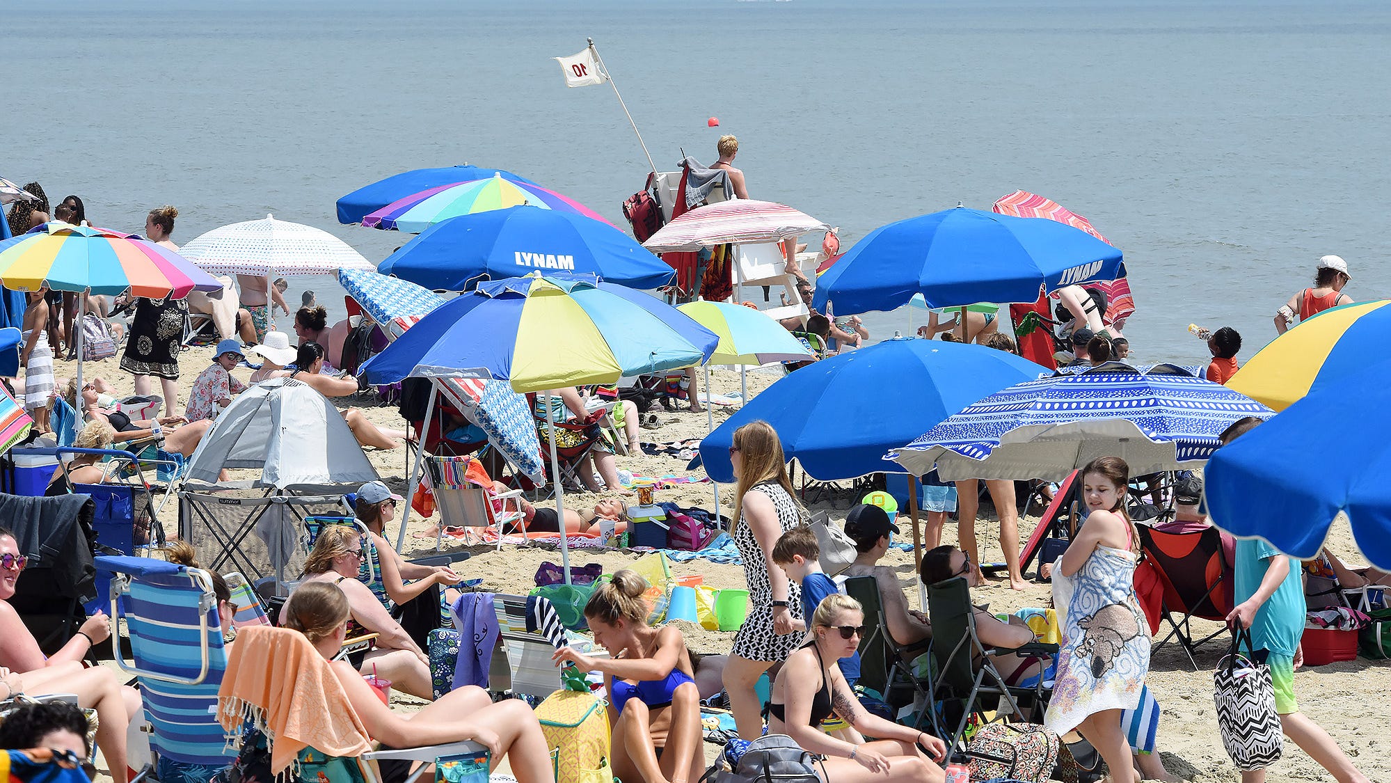 Carney Bar Service At Delaware Beaches To Close Due To