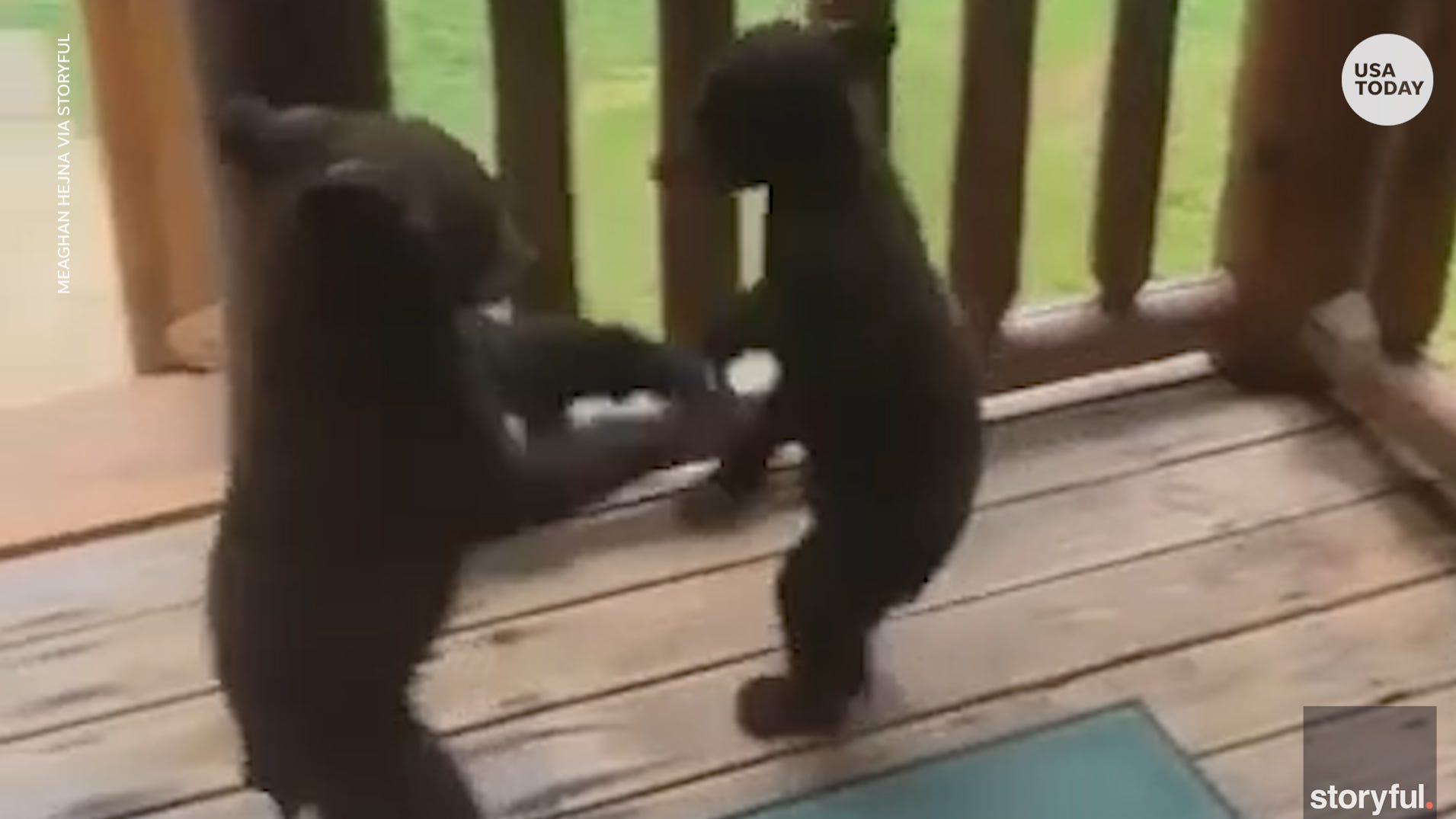 Playful Bear Cubs Scramble Onto Family S Deck