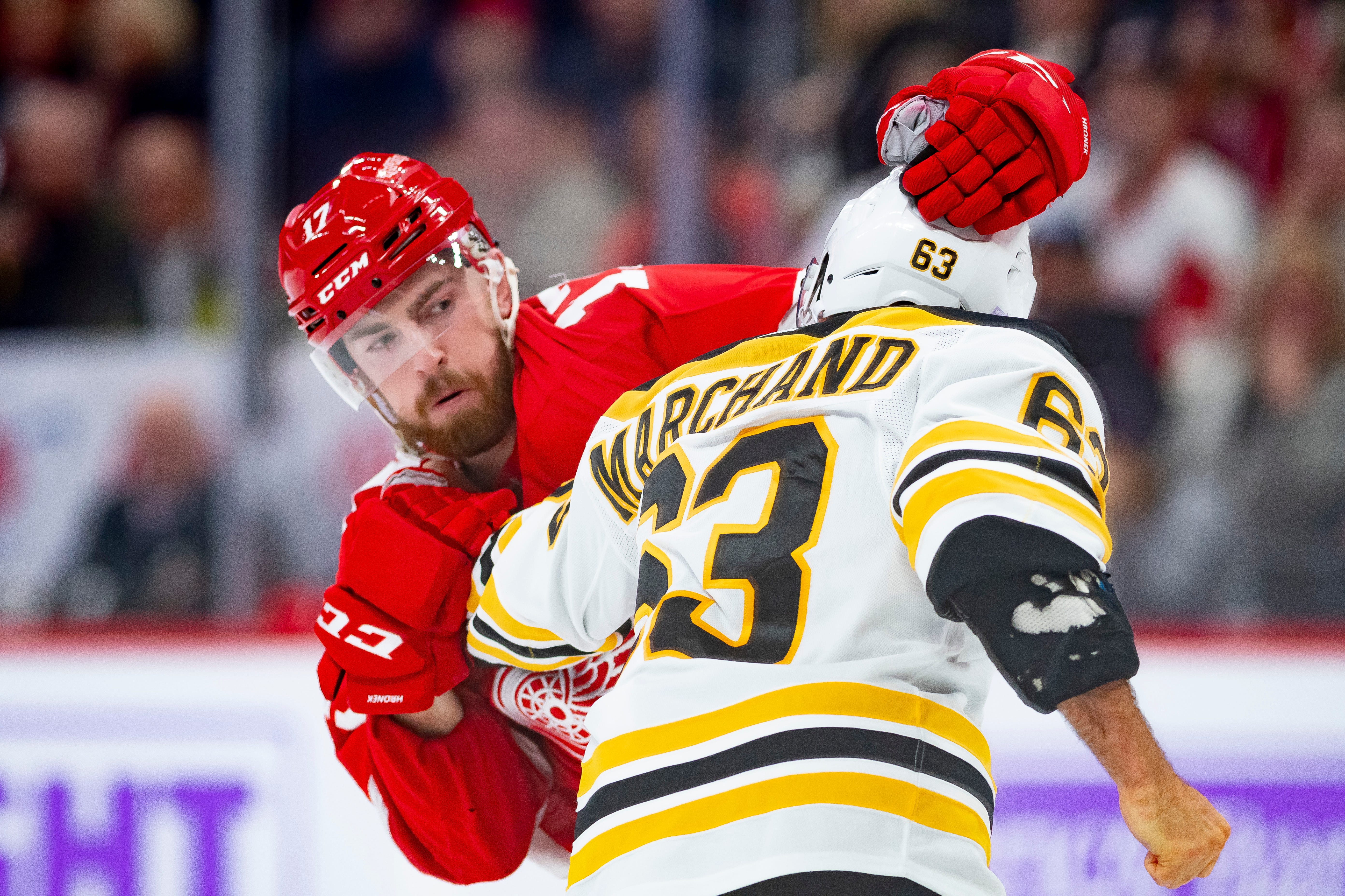 could hold key for Detroit Red Wings