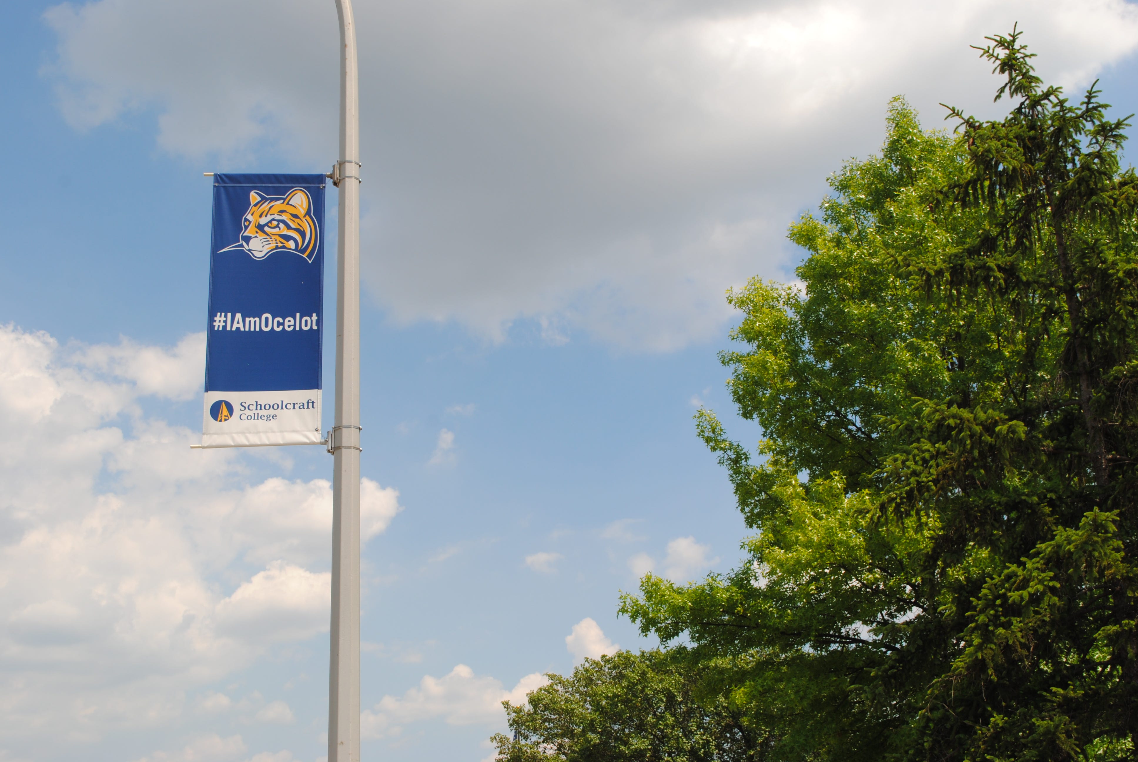 Position in Schoolcraft Board of Trustees opens after member resigns