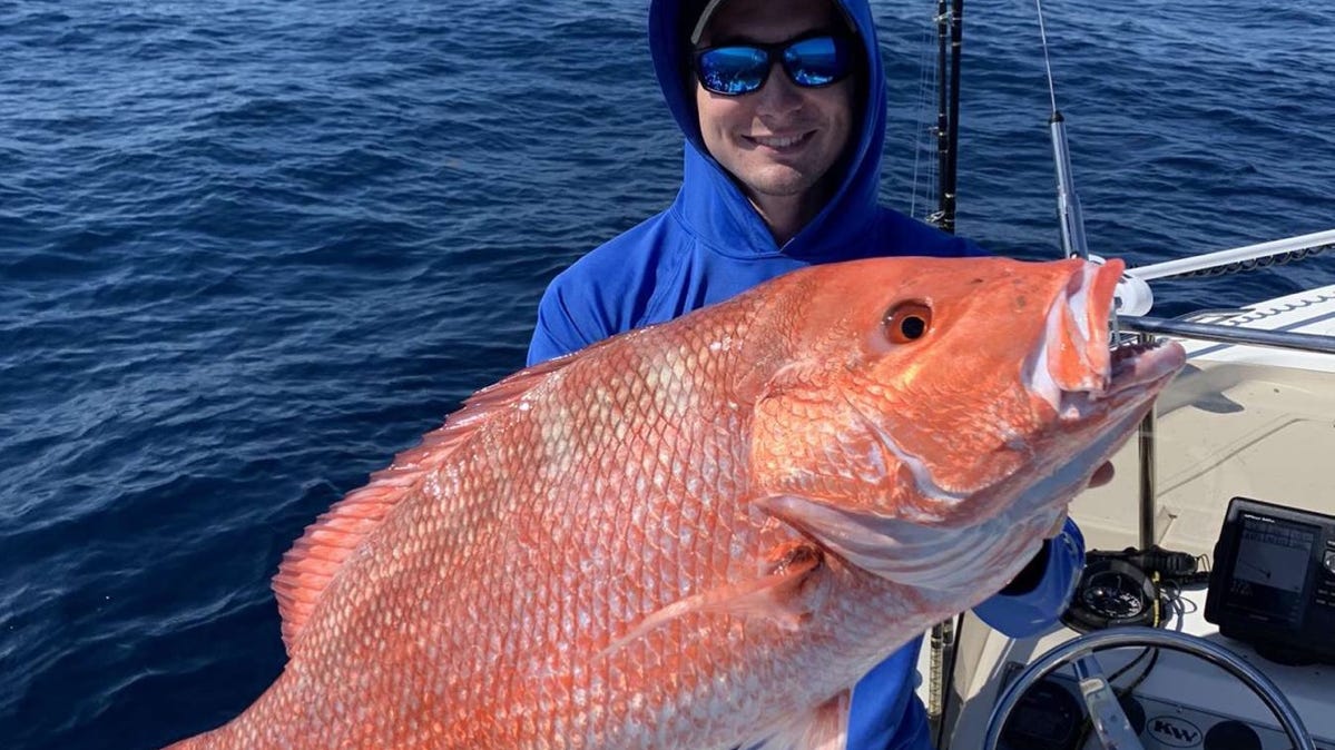 Florida Atlantic Red Snapper Season 2025 Results