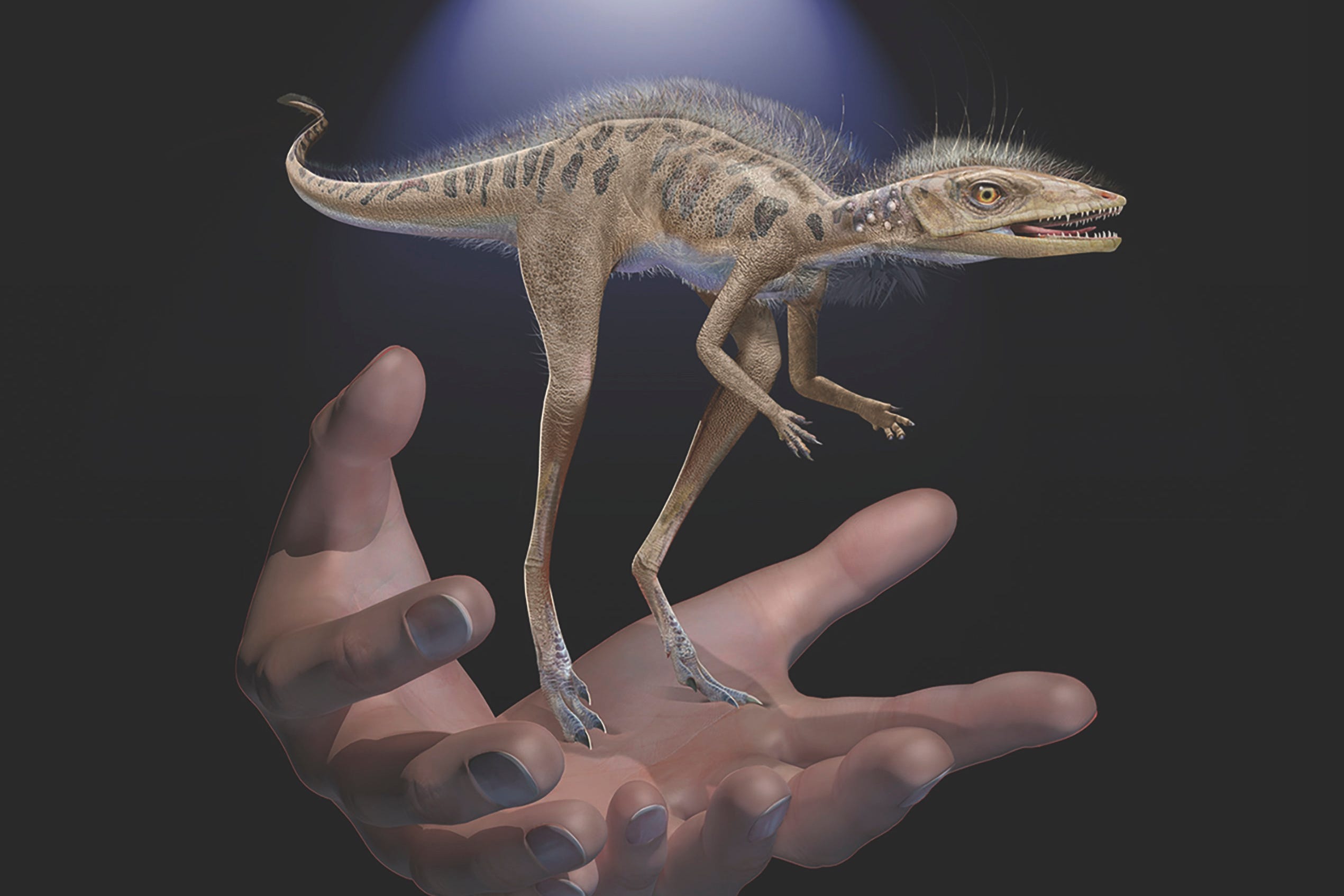 Kongonaphon Kely Ancient Dinosaur Ancestor Was Tiny Had Fuzzy Skin