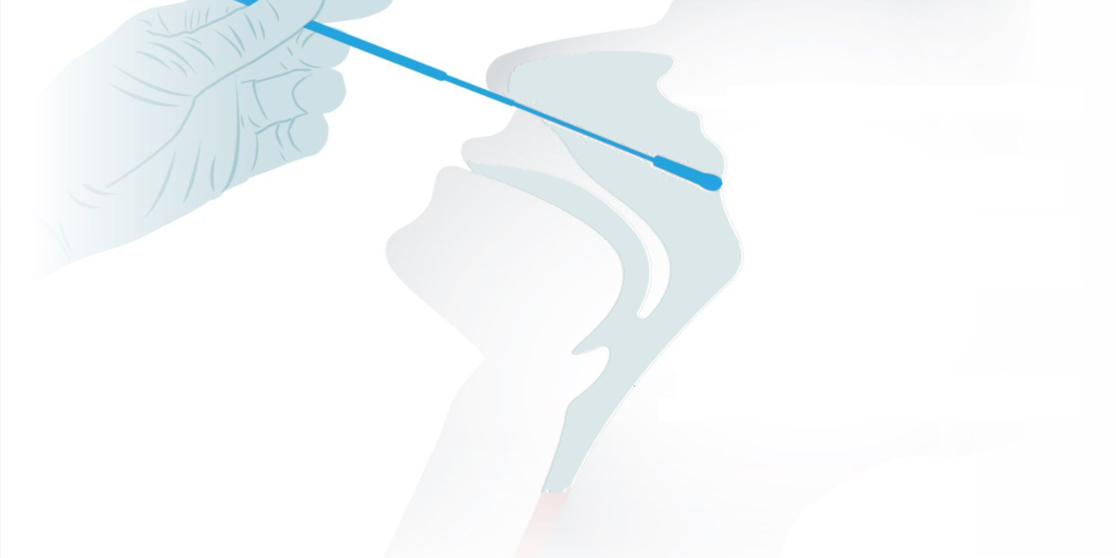 Fact check COVID19 nasal test doesn't swab bloodbrain barrier