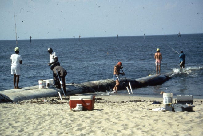 Surf fishing has long been popular recreation in Delaware, as seen in this photo taken at the beach in Lewes sometime around 1990.