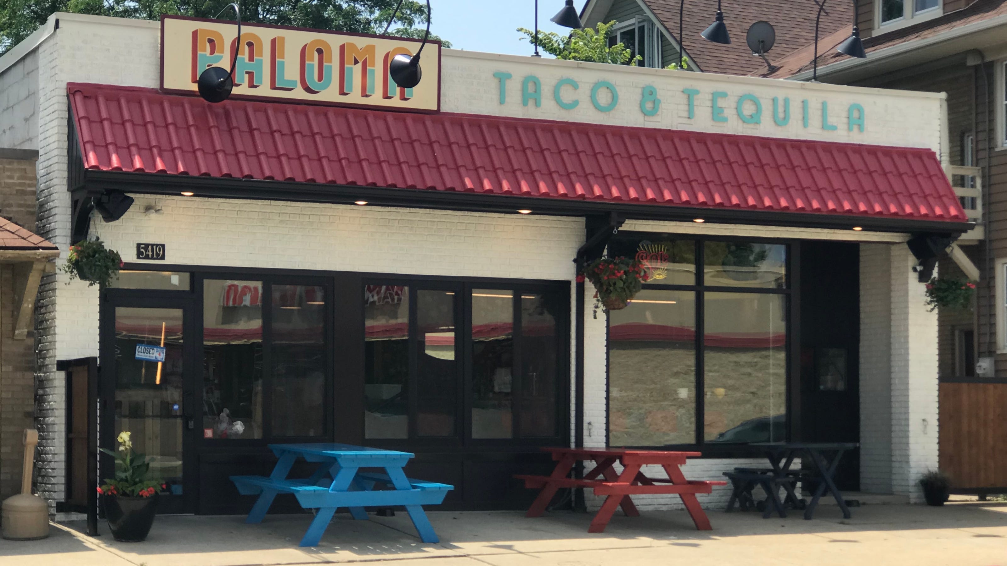Paloma Taco & Tequila opens on Milwaukee's west side (taco for dogs, too)
