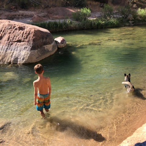 Francis Connor and his puppy Keanna at Zion Nation