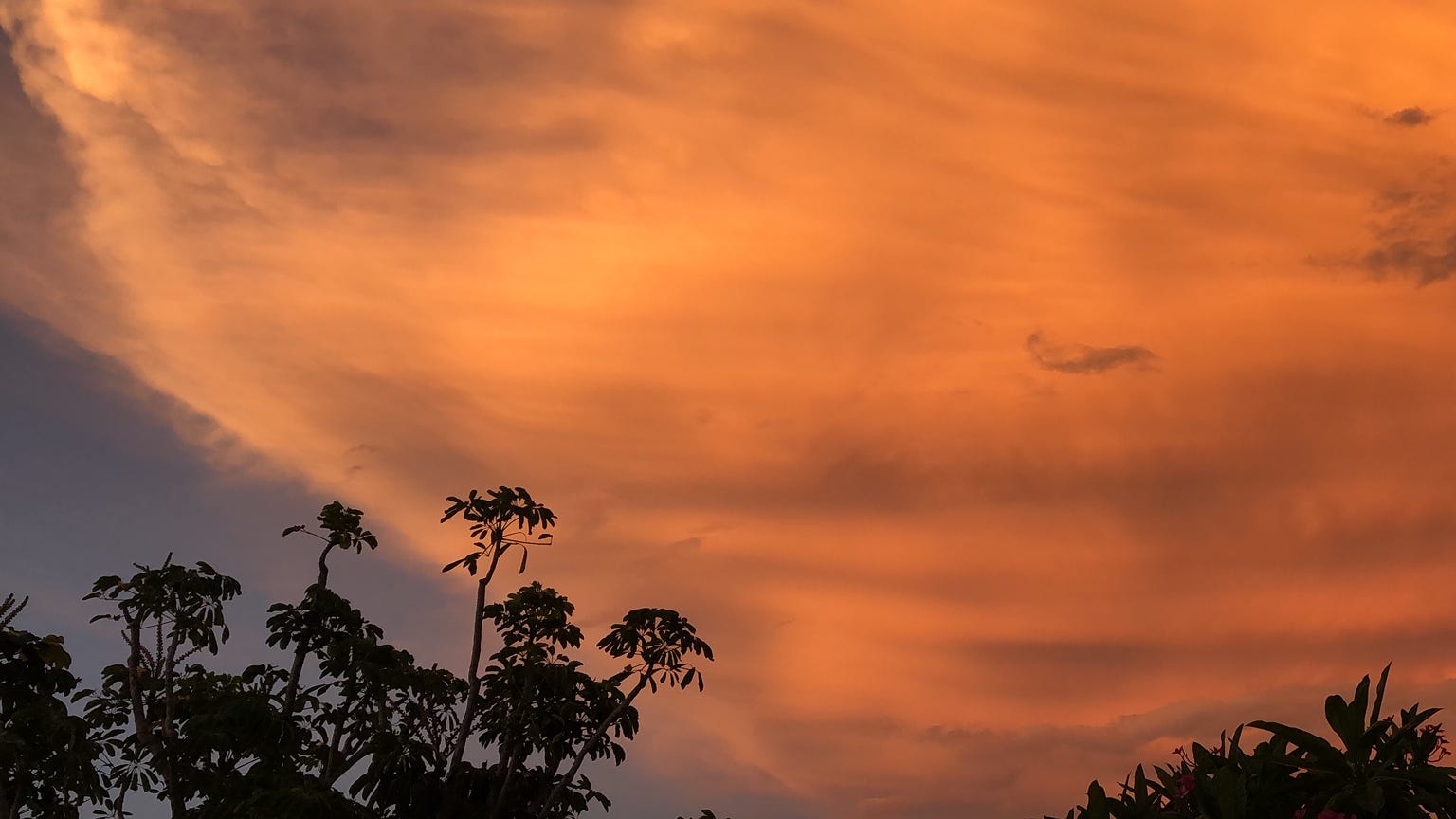 Saharan dust clouds reach Florida and the Atlantic Coast. What is it?
