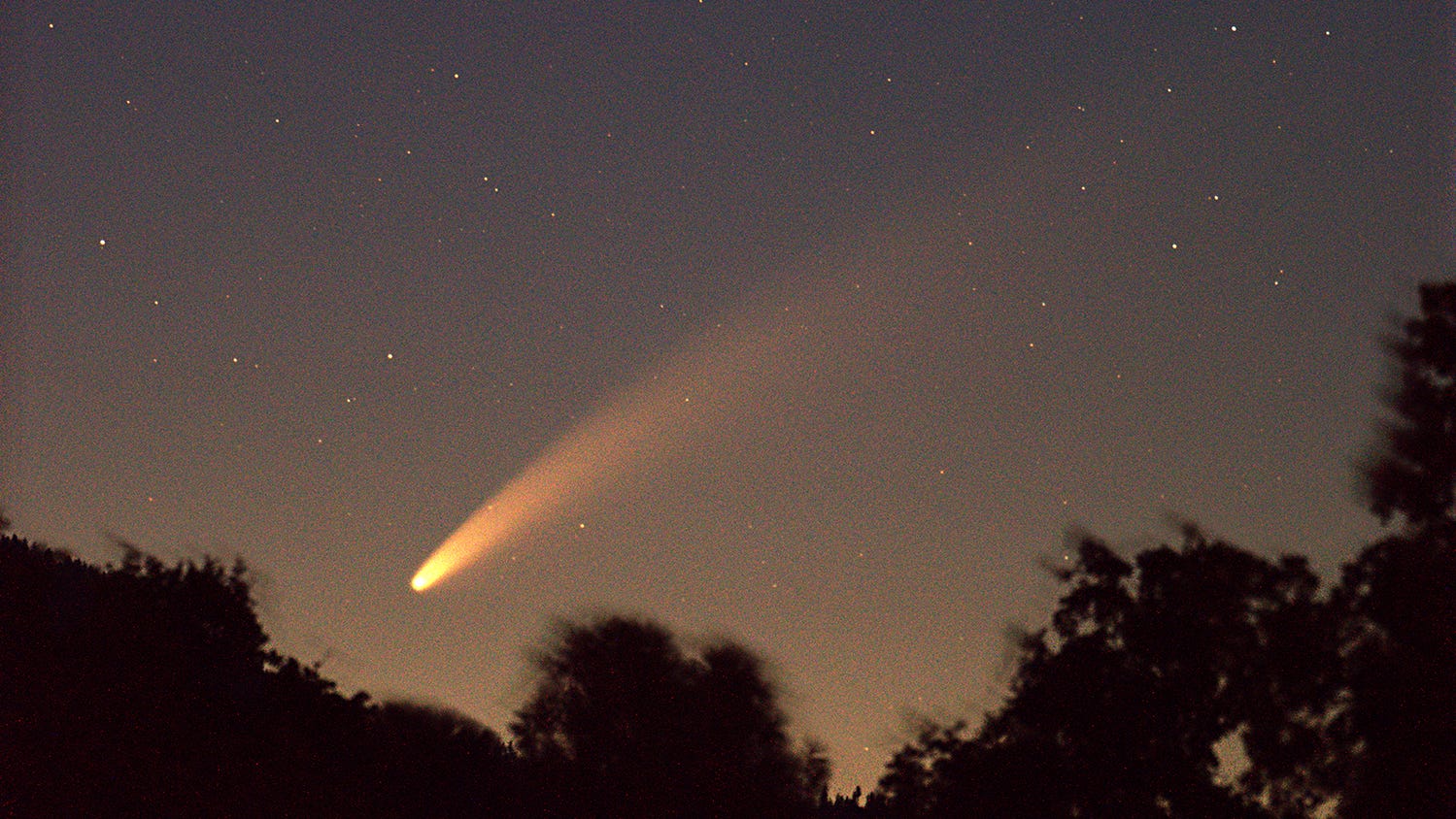 How to see Comet Neowise Here are best places to go, what time to see