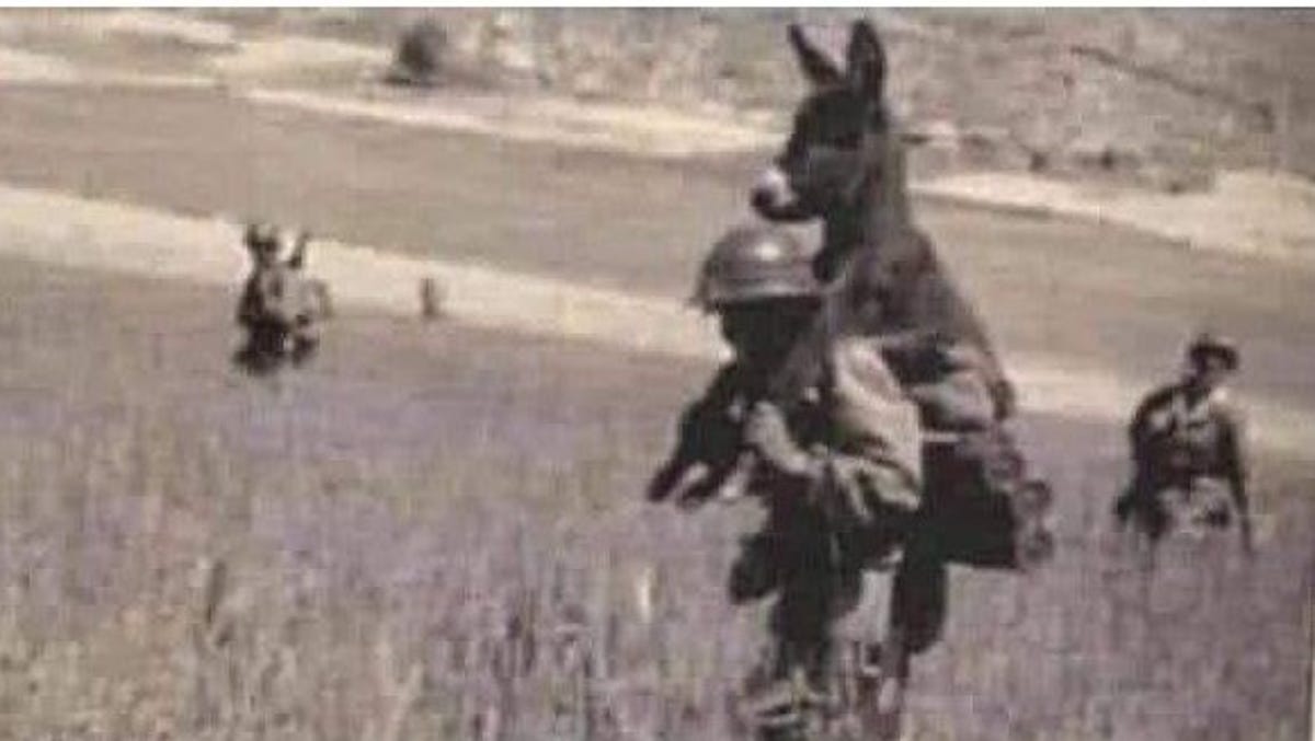 Fact Check Photo Of Soldier Carrying Donkey Is From Algerian War Fact Check Photo Of Soldier Carrying Donkey Is From Algerian War