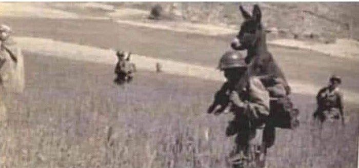 Fact check: Photo of soldier carrying donkey is from Algerian War