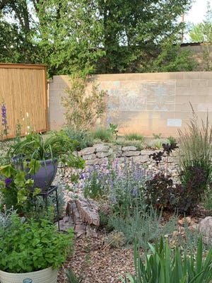 This landscape was installed in July 2019. The plants not only survived but thrived even though they were planted in the heat of the summer.