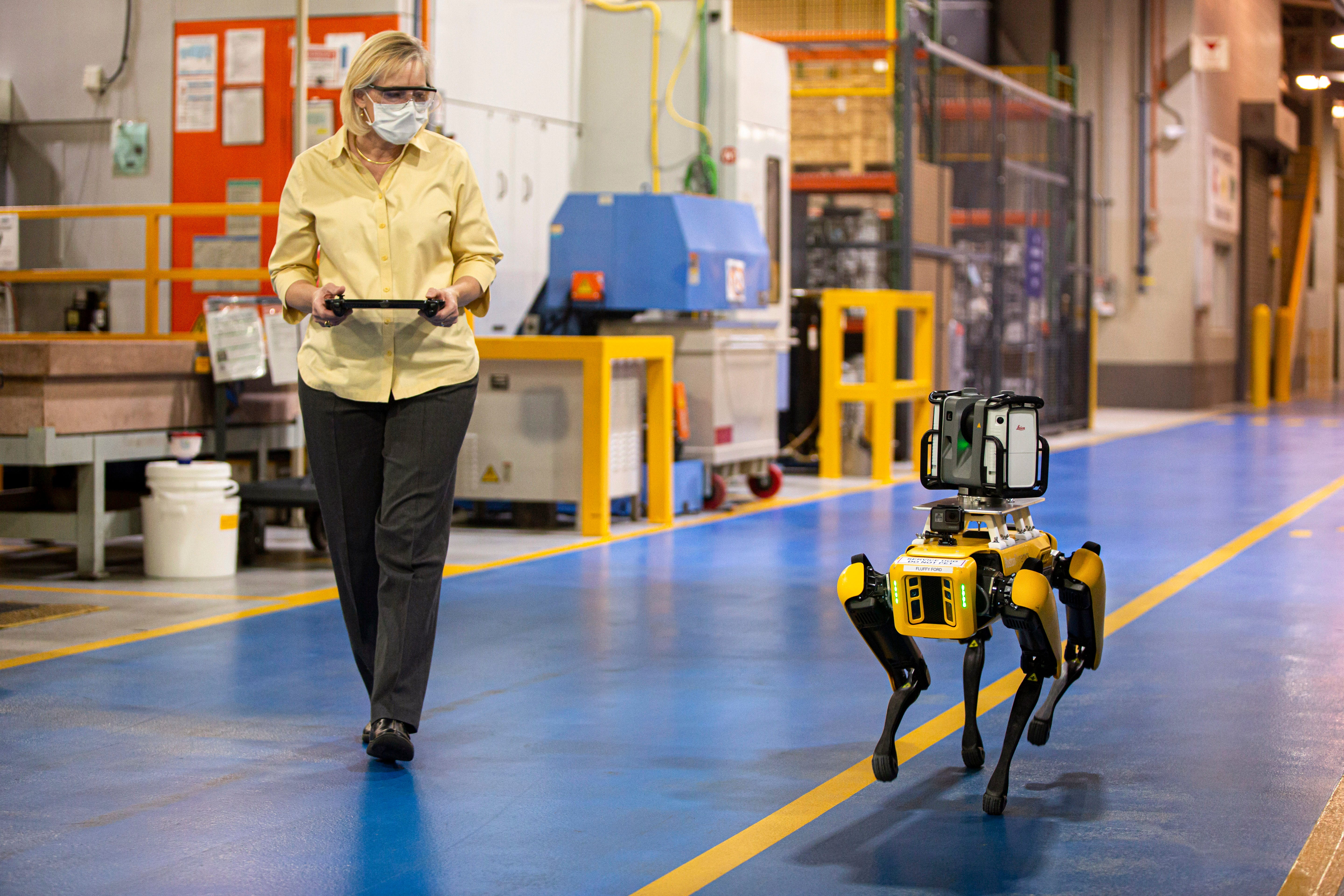 ford robot dog