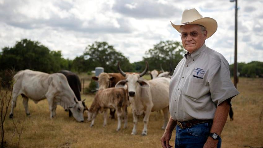 Texas ranchers, activists and local officials are bracing for megadroughts - Corpus Christi Caller-Times