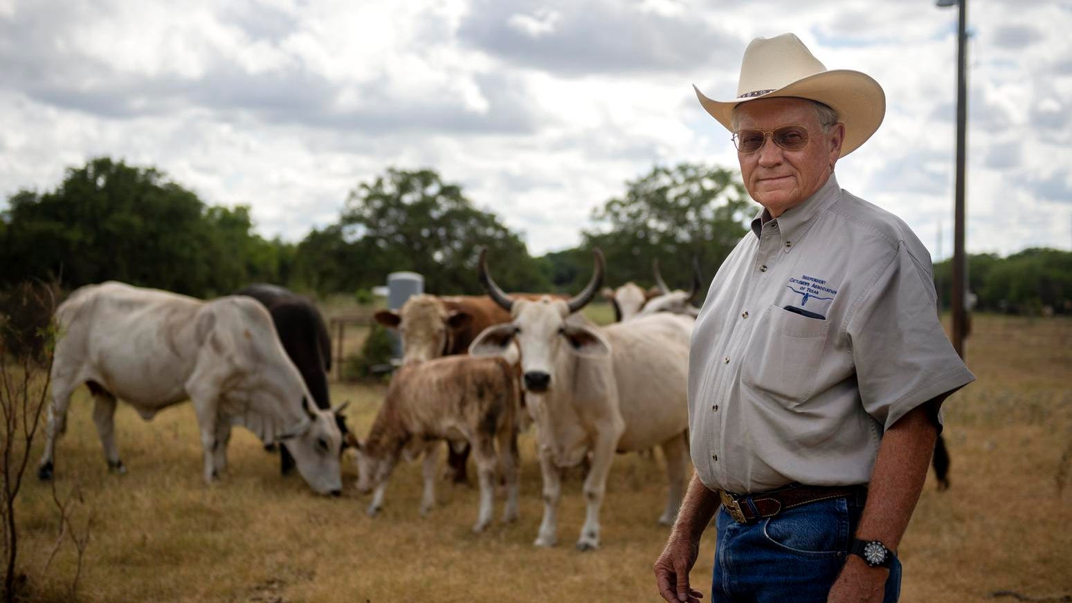 Texas ranchers prepare for megadroughts predicted for later this century - Times Record News