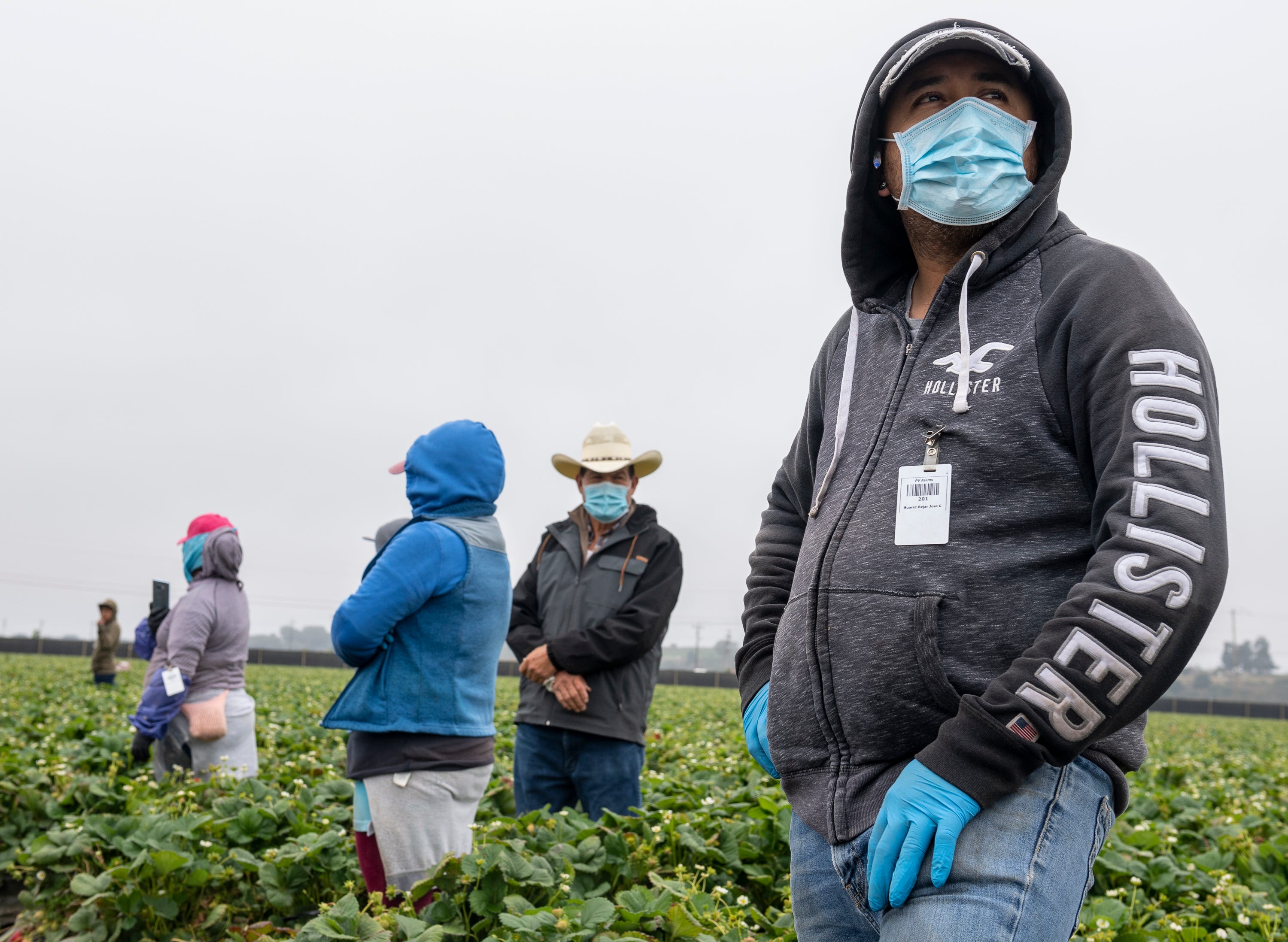 California Guest Farm Workers Hit With With Coronavirus Outbreaks