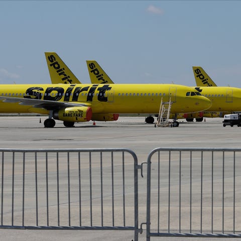 A line of Spirit Airlines jets sit on the tarmac a