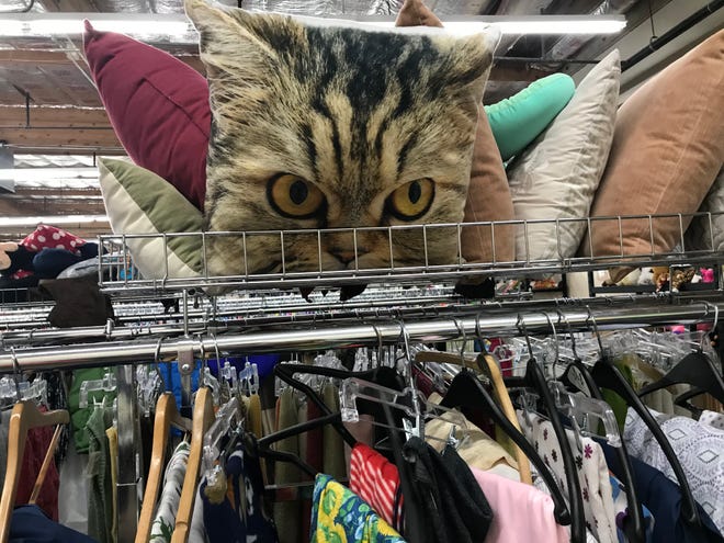 A cat pillow is perched in the pillow area of the Catholic Charities St. Vincent's Super Thrift Store in Sparks.